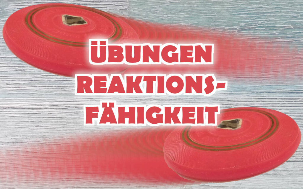 Reaktionsfähigkeit